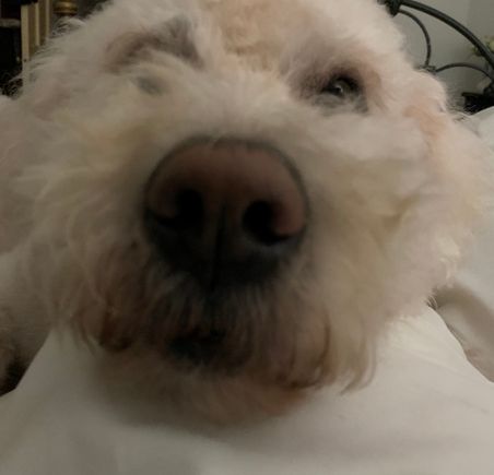 This has become my favourite FT forum since I discovered it recently. Gallus Harry saying good morning.