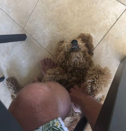 The belly rub. Showing her pearly whites. 