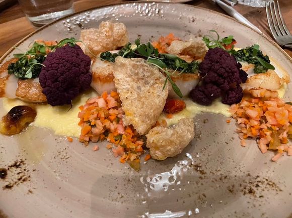 Scallops