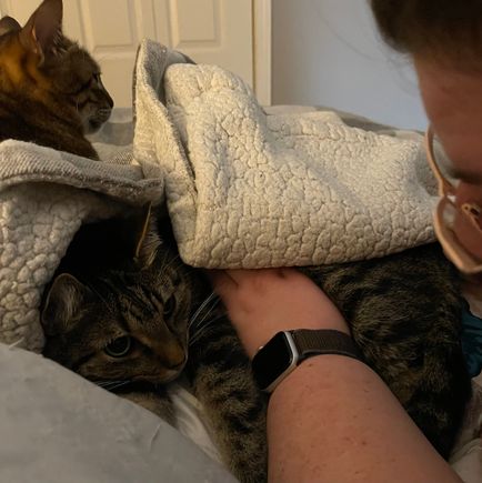 If I don’t blink, mama won’t know I’m under this blanket. - Fred