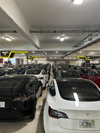 These are the Tesla at TPA, tons of them in gold and PC