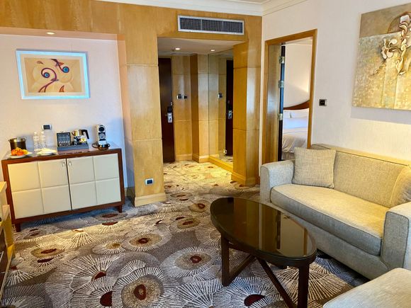 deluxe suite living area part deux