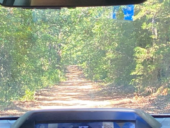 First time going down this road since Thanksgiving 2019.  So grateful we were able to get together as a family since before COVID.  Good company, good food, a nice breeze making it comfortable to be outside despite the heat….it was a great day.