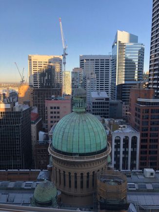 My room view this morning