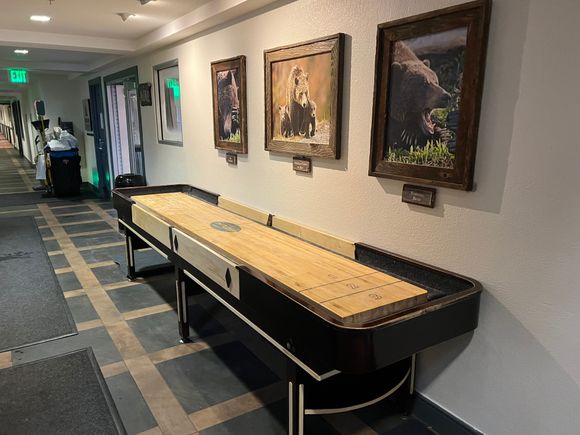 Shuffleboard