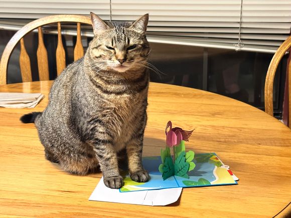 Gaby Baby says she’s prettier than the card.