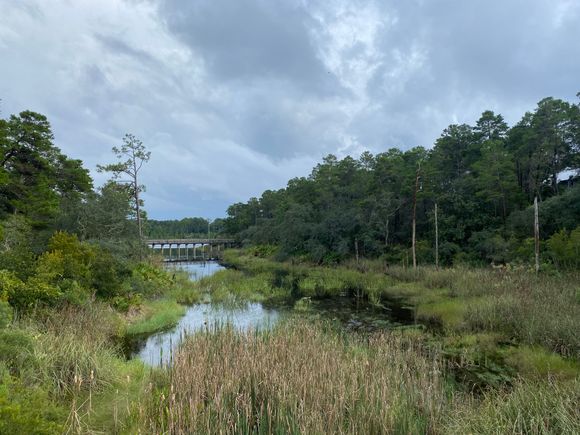 Running trail scenery