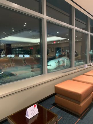 The beautiful bird (1.5 years old) from the lounge. At right is the jetway with direct lounge to plan access.