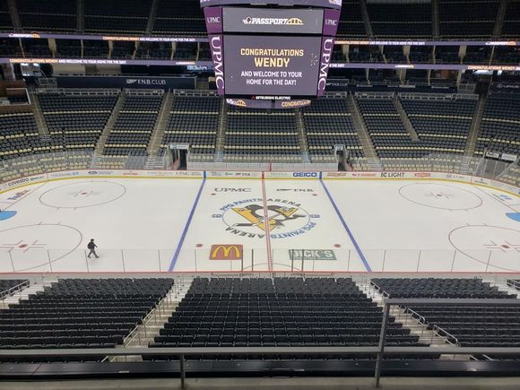 arena view