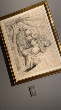 Botero —->