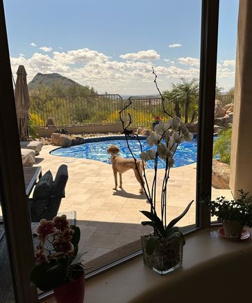 Paraphrasing Barbara Walters,  taking a little time to enjoy the view. 