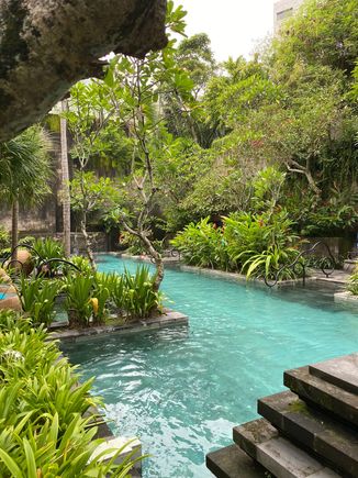 Secret garden pool 