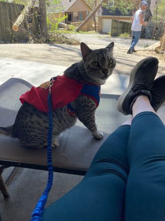 Super Anpu has been supervising the tornado clean up.