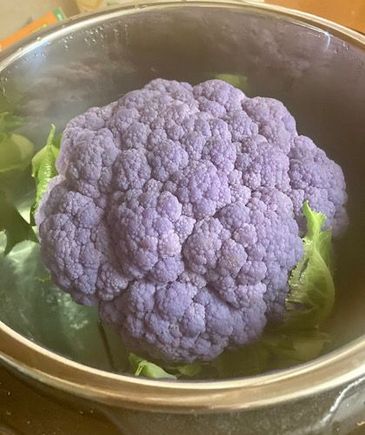 First attempt in the Instant Pot. 