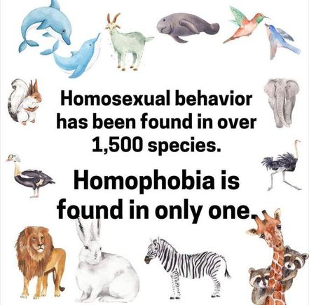 John Fugelsang points this out quite a bit