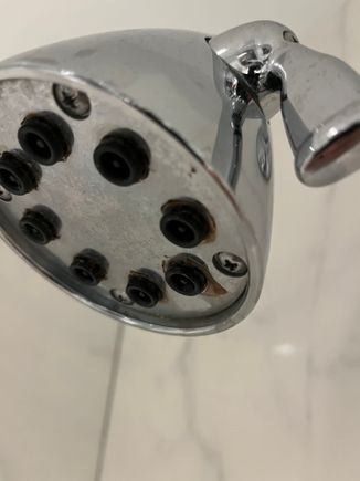 Shower head with mold