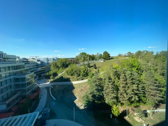 View from room; I enjoyed this park and there’s a small splash pad at the top for kids. 