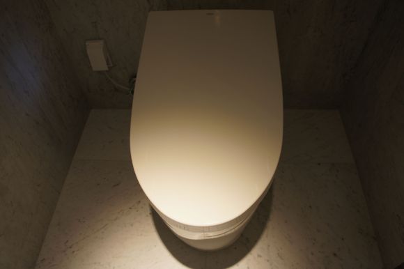The toilet seat lifted up on its own, automatically as it sensed that you had walked into the booth.