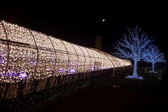 The outside of the tunnel ( a few people in the tunnel so a bit difficult to take an empty photo ) . spectacular