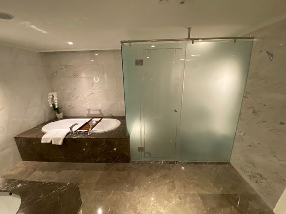 Bathroom from different angle