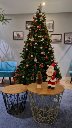 I appreciate the initiative, but a Yule tree is all I can contribute. (The room rate was only 66 euros, trains were running outside my window.)