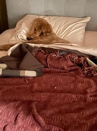 Someone’s been sleeping in my bed!