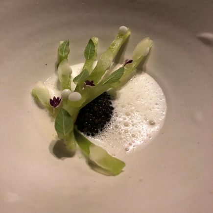 Lettuce root with caviar