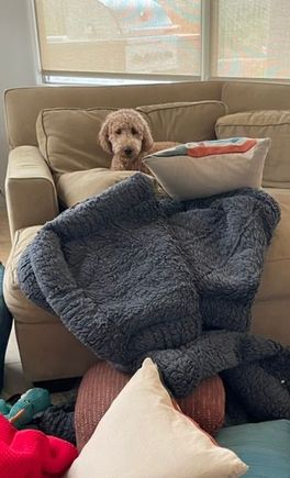 Fort Poppy