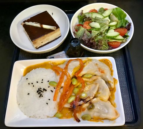 Chicken gyoza