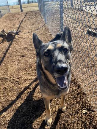 "Oh, Hai!"