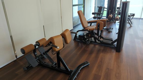 Gym - back / legs