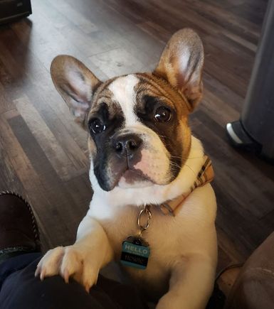 Howie
