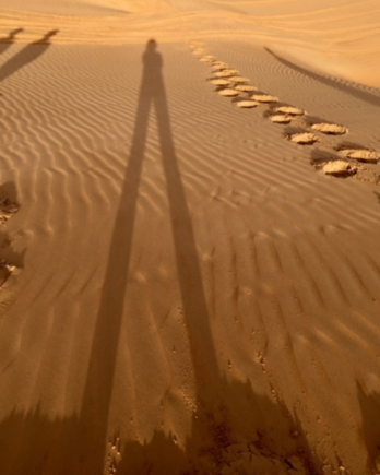 Cool pic I took during the dune bashing drive.  :)