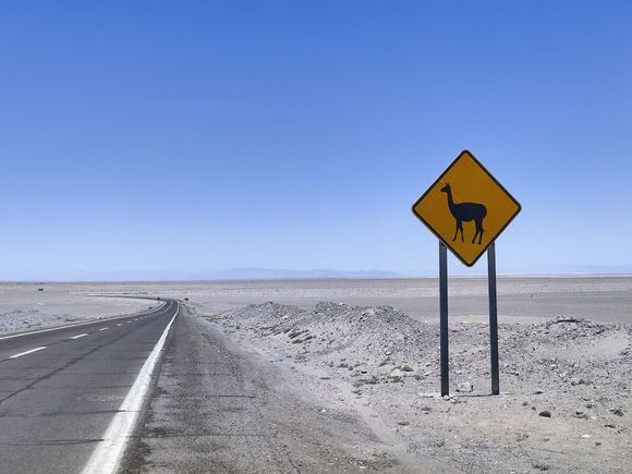 Despite the sign, there were no lamas there (but there are usually some when you see this sign)
