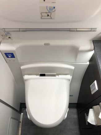 I've always wondered who is actually brave enough to use the bidet feature on a Japanese airline's toilet; unfortunately this flight did not put me in that bucket!