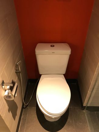 Toilet with spray in case you need to power wash the bowl ;) 