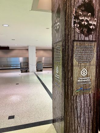 Interesting Metroparks displays around carrousel 3. 