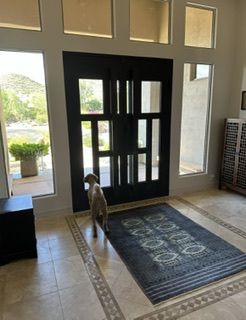 Poppy seems to like them too. It’s easier for her neighborhood watch duties. 