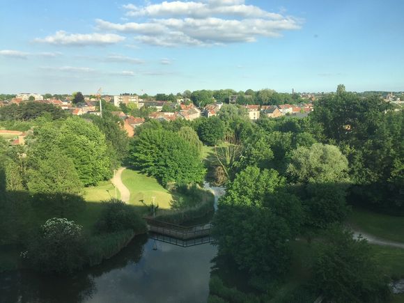 Park view