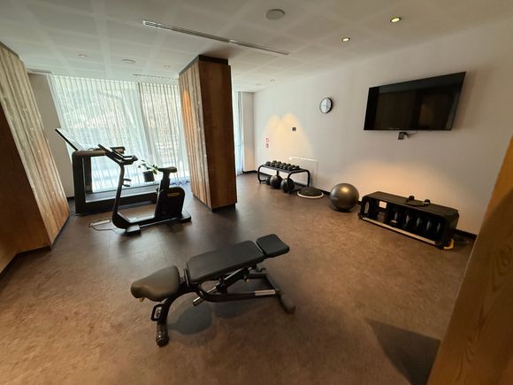 The fairly basic gym