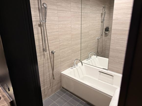 bathtub and shower room