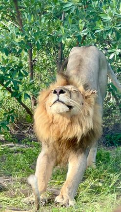 Another amazing holiday in SA 