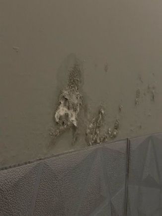 These stains were everywhere in the hallways between rooms