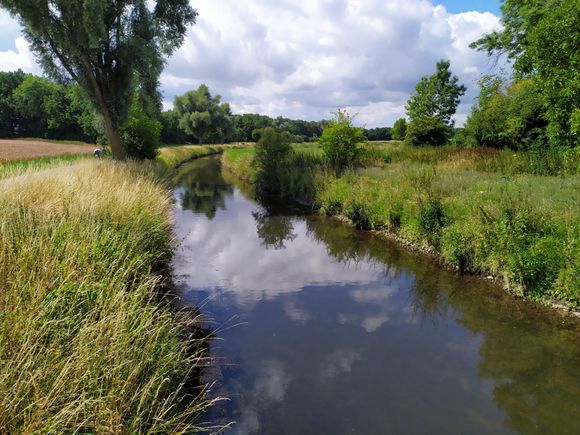 This almost resembles a pastoral scene in England 