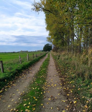 The route follows the river behind a protective line of trees and bushes
