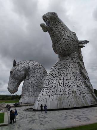 The other Kelpie has its head raised high in the air 