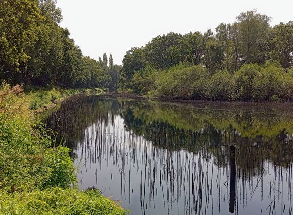 After about 1.5km on the hike through the Lommerheide I encountered this body of water, the Visvijver