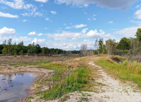 The walking route makes a wide loop through the Dutch nature reserve 