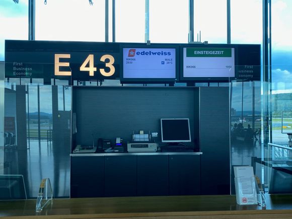 Boarding Gate - Not flashy but gets the job done