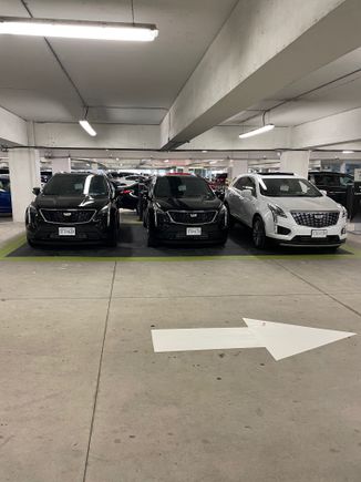 PS - judging by the car plates, it looks like they bought them at around the same time
